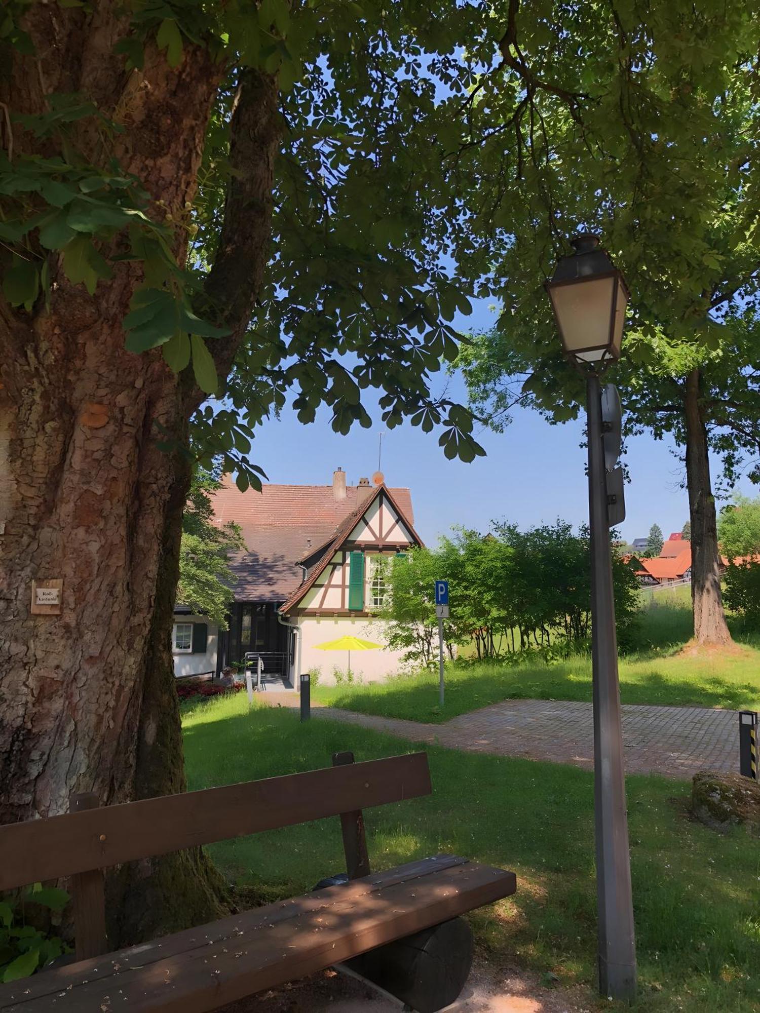 Ferienwohnung Am Keschtebaum, 70Qm Sasbachwalden Buitenkant foto